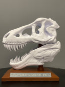 CRÂNIO T-REX DECORAÇÃO PLA PREMIUM IMPRESSÃO 3D
