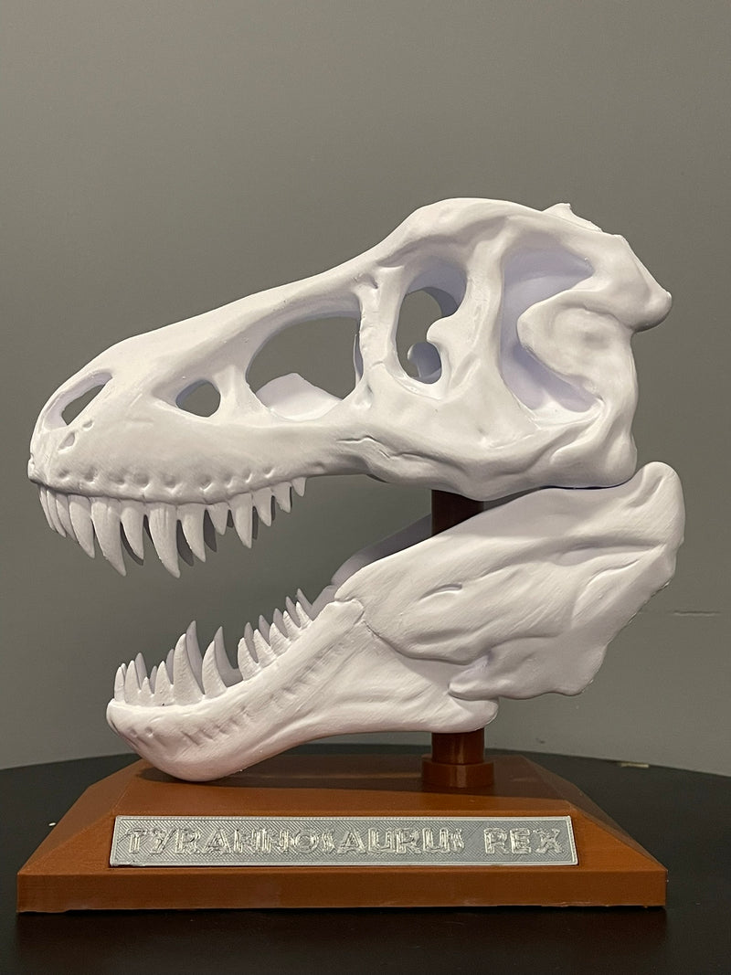 CRÂNIO T-REX DECORAÇÃO PLA PREMIUM IMPRESSÃO 3D