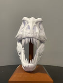 CRÂNIO T-REX DECORAÇÃO PLA PREMIUM IMPRESSÃO 3D
