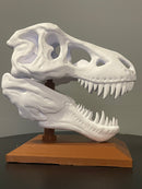 CRÂNIO T-REX DECORAÇÃO PLA PREMIUM IMPRESSÃO 3D